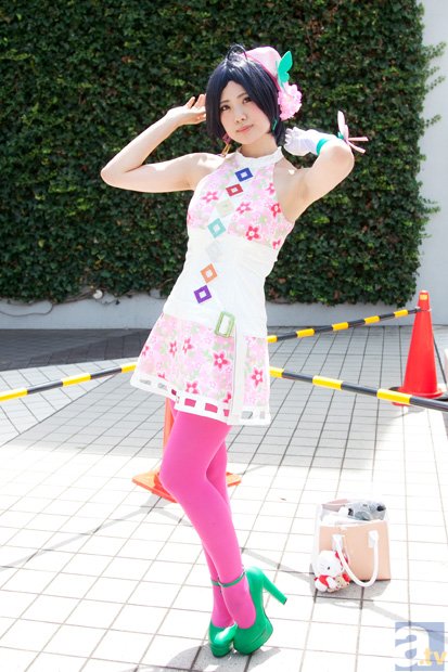 澳客下载_禁伐令颁布,黑檀A将成市场“绝唱”(图1) 澳客入口